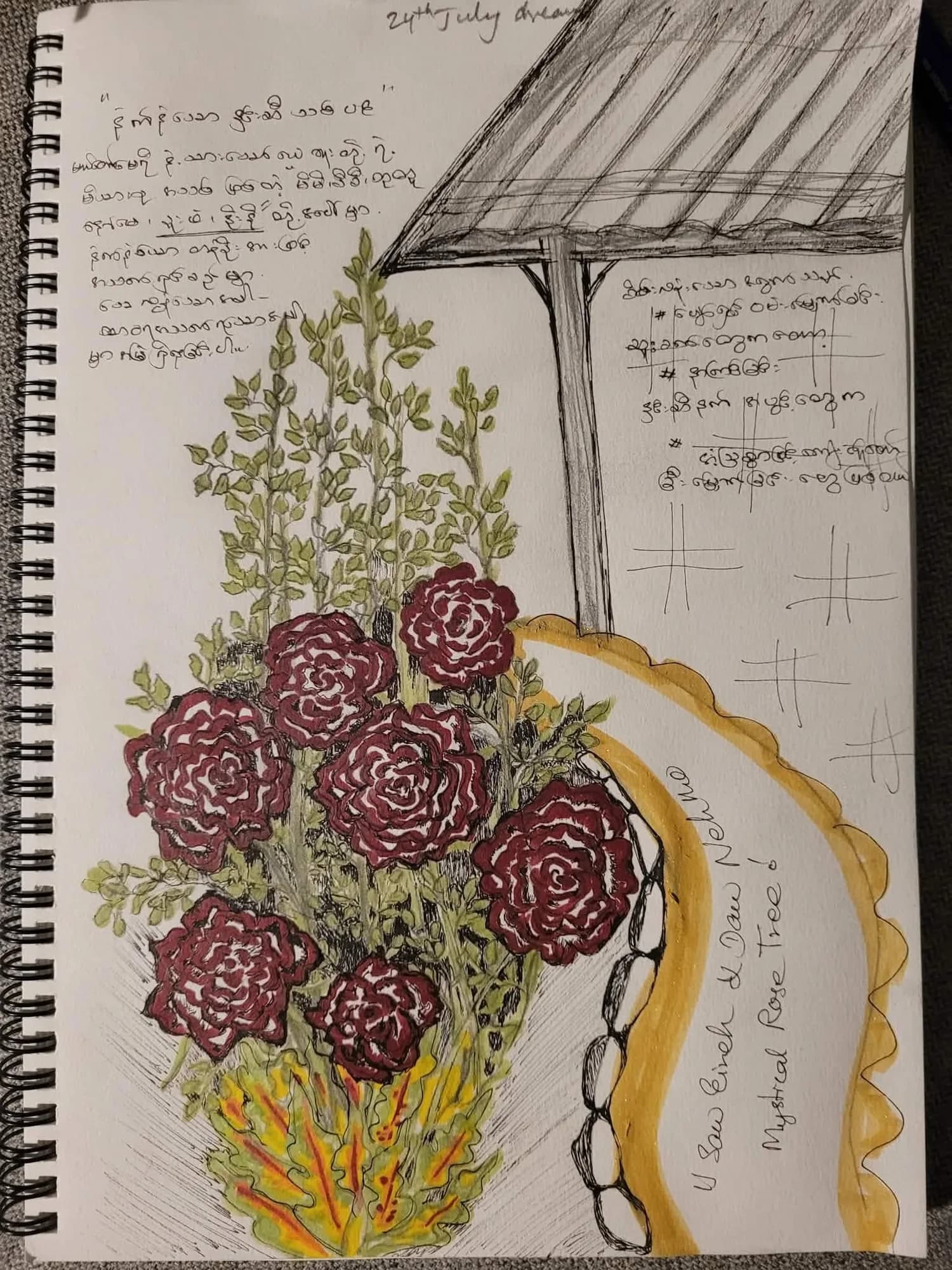 A sketchbook page of deep red roses with handwritten Burmese notes